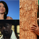 On the snubs, surprises, and Bad Terminators of the 2021 Oscar nominations